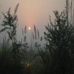 Vraj-Yatra-2014- (76)